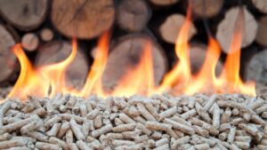 Read more about the article Biomass Power