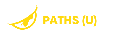 Resilience Paths